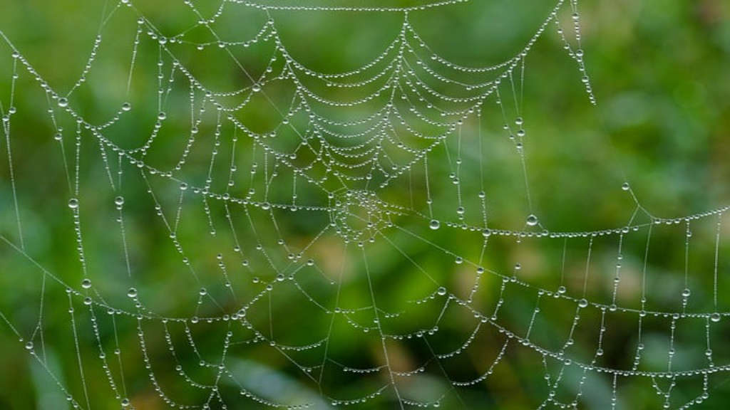 Antalya web tasarım örnekleri